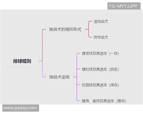 武汉与广州排球队对决后的战术分析与节奏探讨 武汉与广州排球队对决后的战术分析与节奏探讨